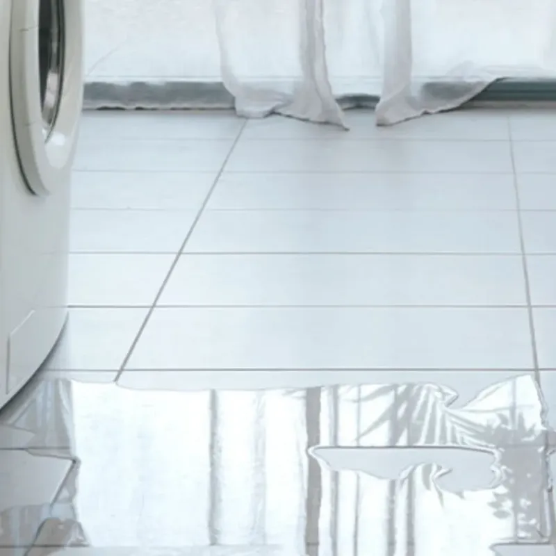 Appliance Leak Cleanup in Kankakee, IL