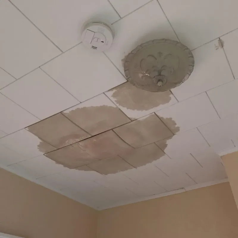 Ceiling Water Damage Repair in Kankakee, IL