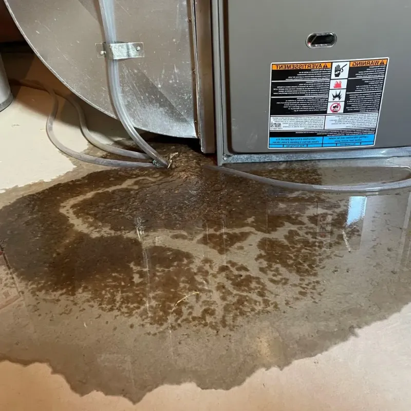 Pipe Burst and Leak Restoration in Kankakee, IL